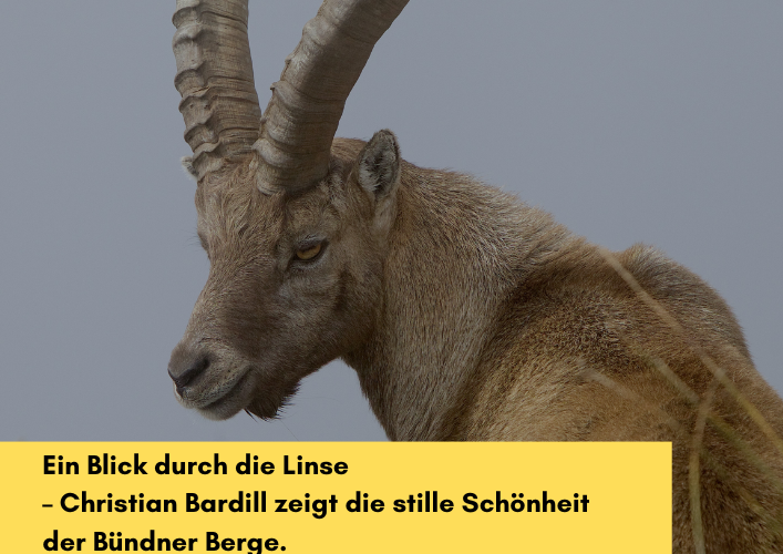 65plus-Anlass mit Naturfotografie, Musik und feinem Mittagessen