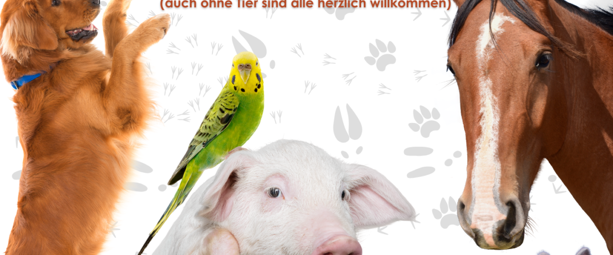 Segnungsgottesdienst für Tier und Mensch